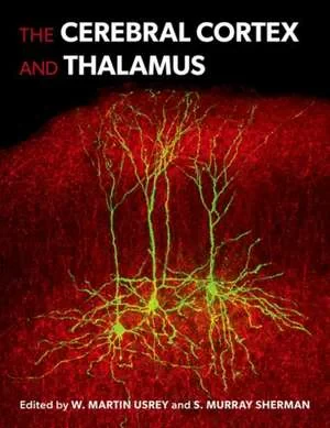 Coperta cărții "The Cerebral Cortex and Thalamus" de W. Martin Usrey, S. Murray Sherman