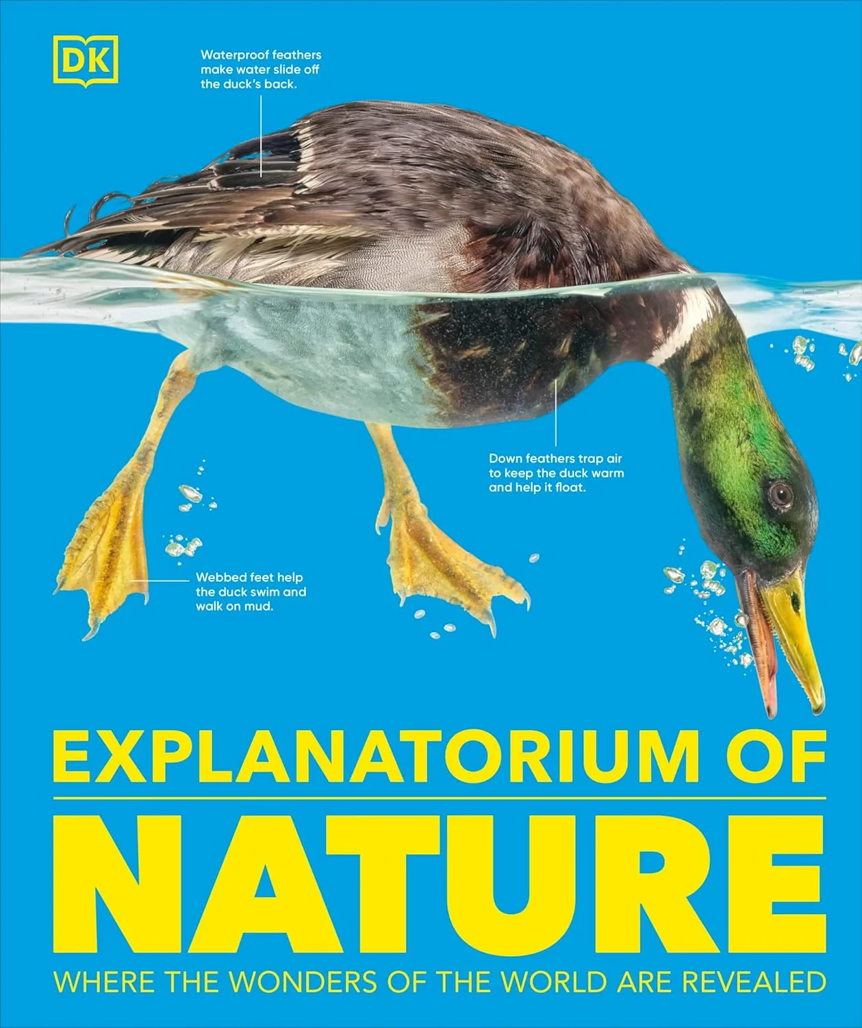 Coperta cărții "Explanatorium of Nature: Where the Wonders of the World are Revealed" de DK