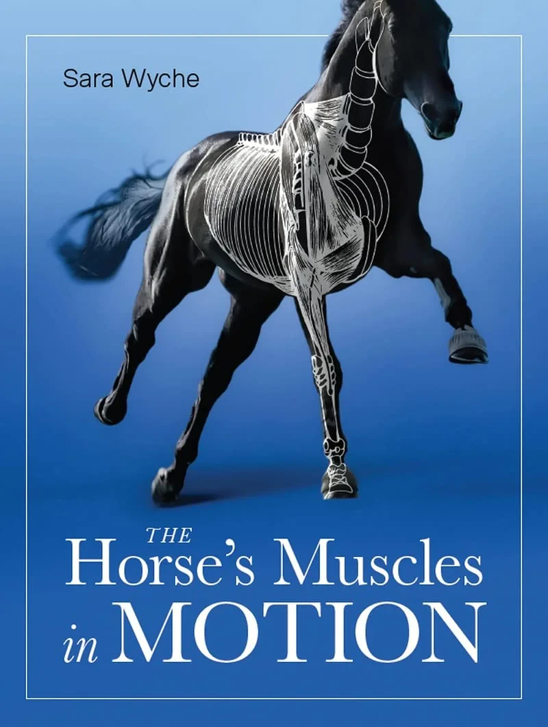 Coperta cărții "Horse's Muscles in Motion" de Sara Wyche