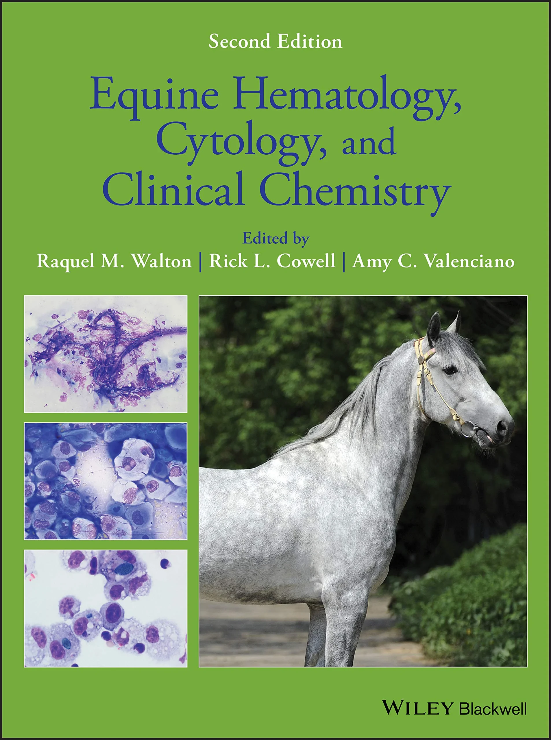Equine Hematology, Cytology, and Clinical Chemistr...
