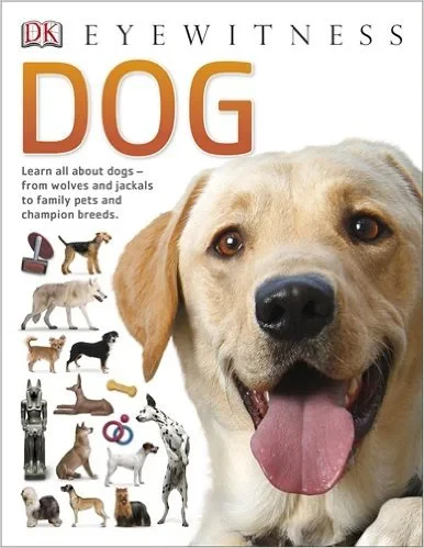 Coperta cărții "Dog (Eyewitness)" de DK
