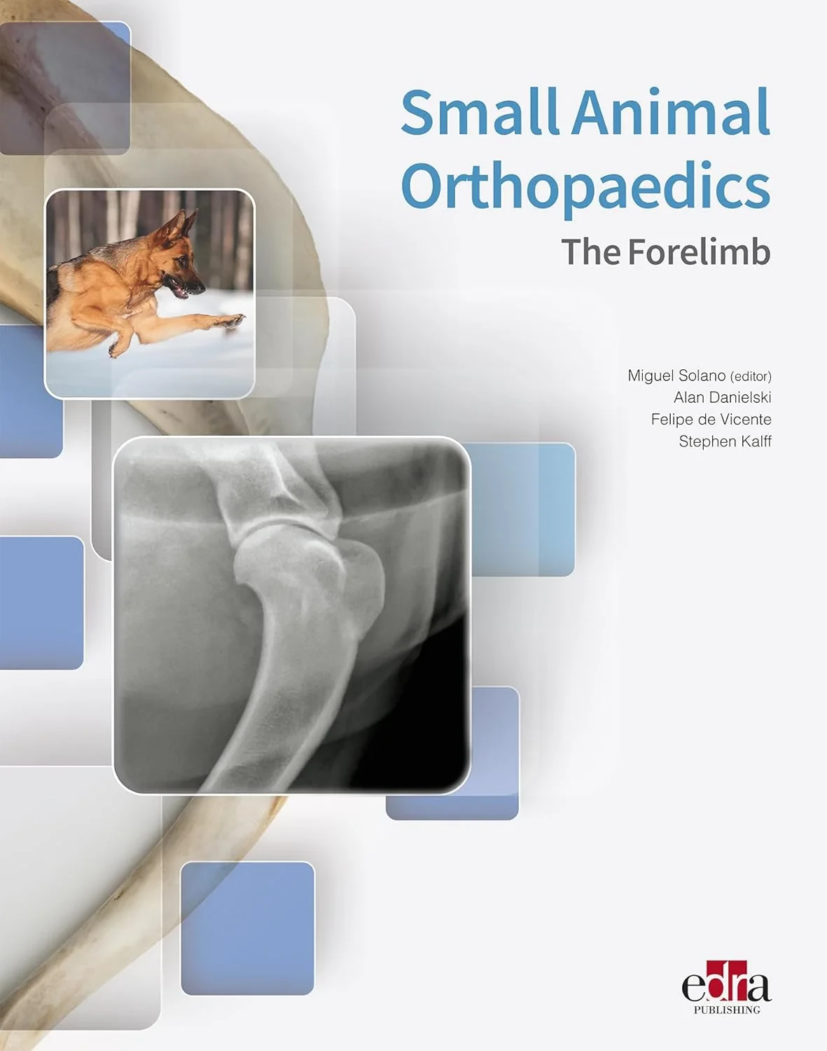 Coperta cărții "Small Animal Orthopaedics: The Forelimb" de Alan Danielski, Felipe de Vicente, Stephen Kalff