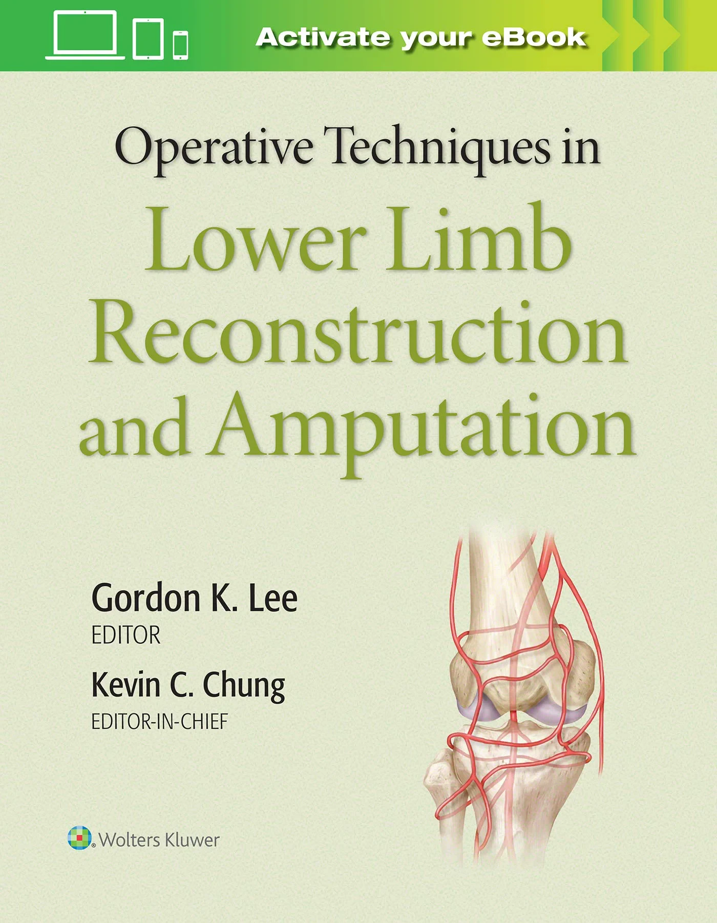 Operative Techniques in Lower Limb Reconstruction ...