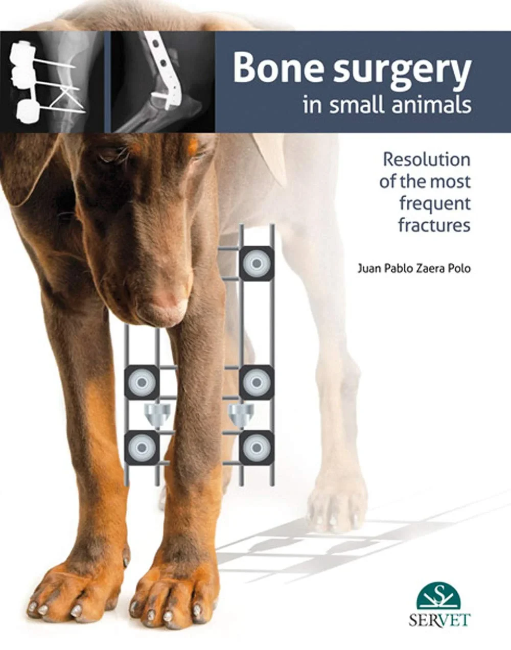 Coperta cărții "Bone surgery in small animals" de Juan Pablo Zaera Polo