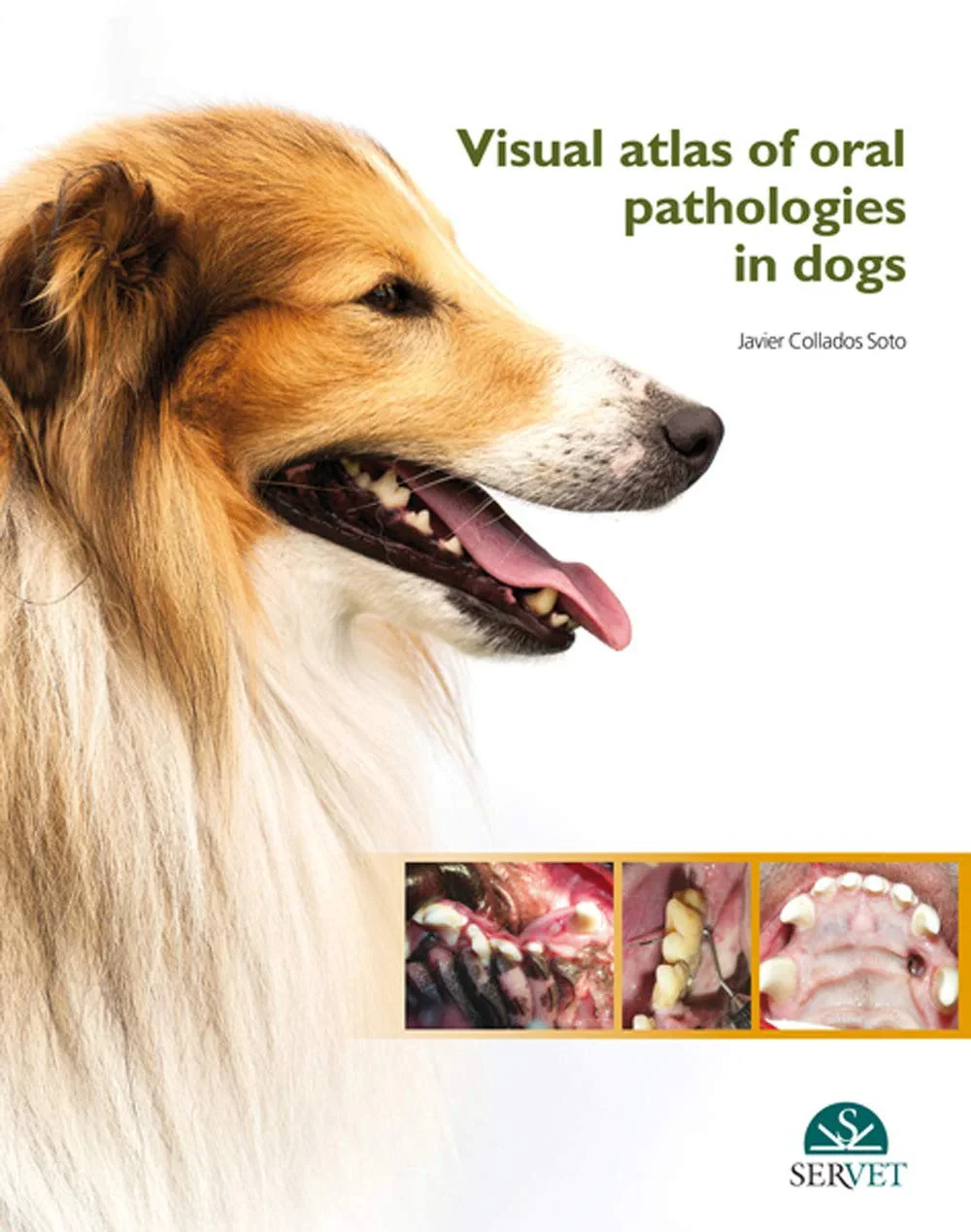 Coperta cărții "Visual Atlas of Oral Pathologies in Dogs" de Javier Collados Soto
