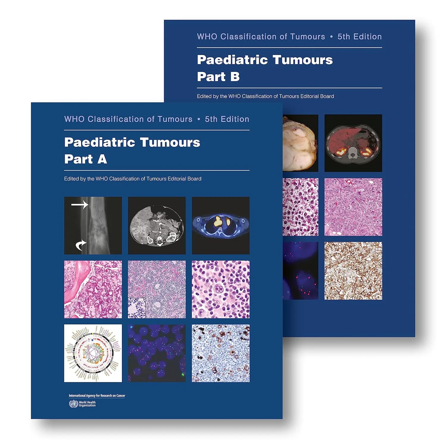 Paediatric Tumours. WHO Classification of Tumours,...