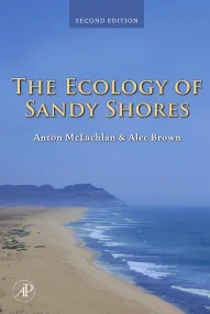 The Ecology of Sandy Shores