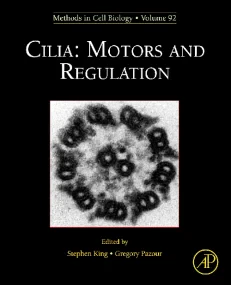 Cilia: Motors and Regulation