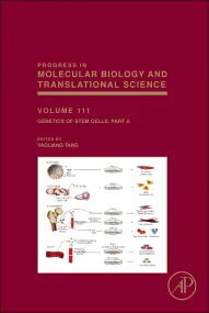 Genetics of Stem Cells