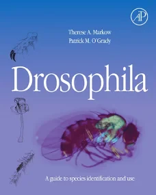Drosophila