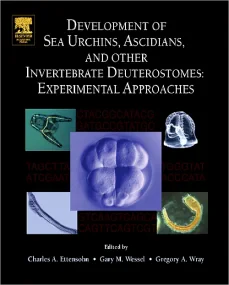Development of Sea Urchins, Ascidians, and Other I...
