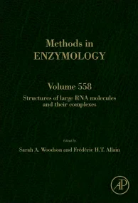 Structures of Large RNA Molecules and Their Comple...