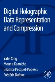 Digital Holographic Data Representation and Compre...