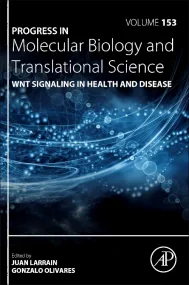 WNT Signaling