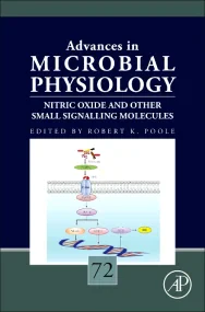 Nitric Oxide and Other Small Signalling Molecules