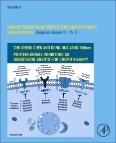 Protein Kinase Inhibitors as Sensitizing Agents fo...