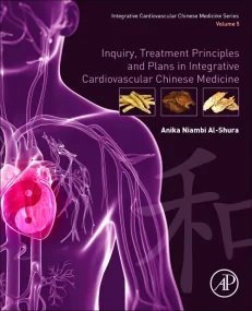 Inquiry, Treatment Principles, and Plans in Integr...