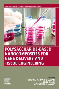 Polysaccharide-Based Nanocomposites for Gene Deliv...