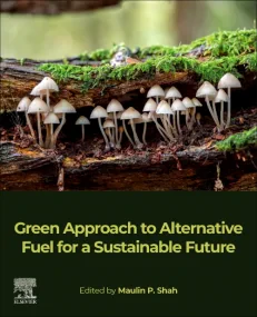 Green Approach to Alternative Fuel for a Sustainab...