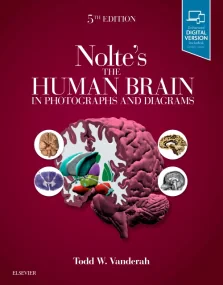 Nolte's The Human Brain in Photographs and Diagram...