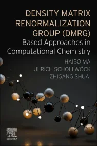 Density Matrix Renormalization Group (DMRG)-based ...