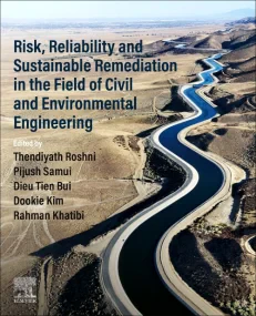Risk, Reliability and Sustainable Remediation in t...