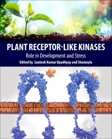 Plant Receptor-Like Kinases