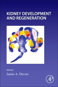 Kidney Development and Regeneration