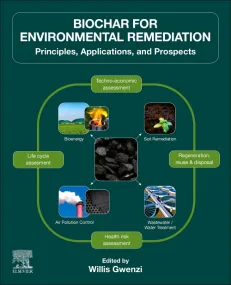 Biochar for Environmental Remediation