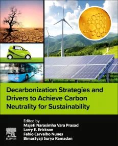 Decarbonization Strategies and Drivers to Achieve ...