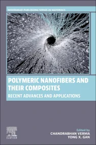 Polymeric Nanofibers and their Composites