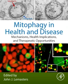 Mitophagy in Health and Disease