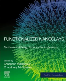 Functionalized Nanoclays