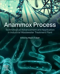 Anammox Process