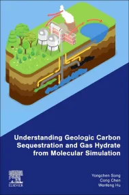 Understanding Geologic Carbon Sequestration and Ga...