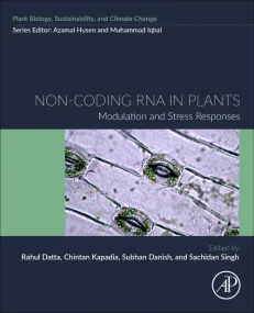 Non-coding RNA in Plants