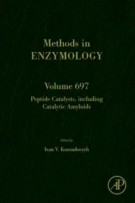 Peptide Catalysts, including Catalytic Amyloids
