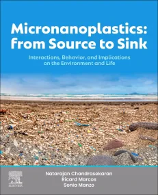 Micronanoplastics: From Source to Sink