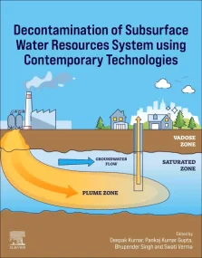Decontamination of Subsurface Water Resources Syst...