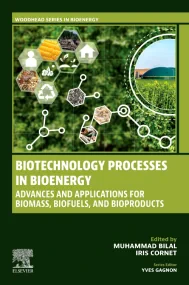 Biotechnology Processes in Bioenergy