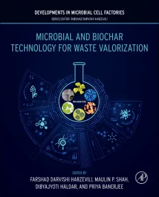 Microbial and Biochar Technology for Waste Valoriz...