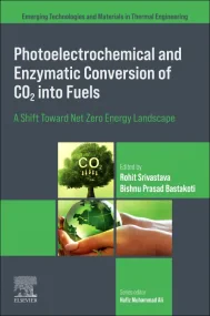 Photoelectrochemical and Enzymatic Conversion of C...