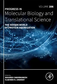 The Hidden World of Protein Aggregation