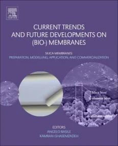 Current Trends and Future Developments on (Bio-) M...