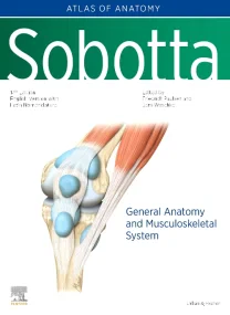 Sobotta Atlas of Anatomy, Vol.1, 17th ed. General ...