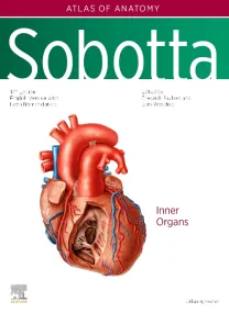Sobotta Atlas of Anatomy, Vol. 2, 17th ed., Englis...