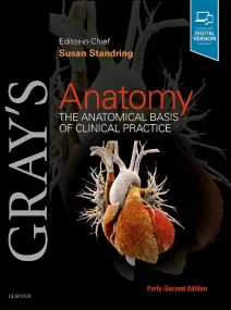 Gray’s Anatomy: The Anatomical Basis of Clinical P...
