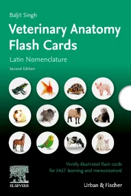 Lernkarten Veterinäranatomie / Veterinary Anatomy ...