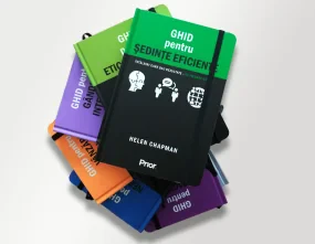 GHID pentru SEDINTE EFICIENTE