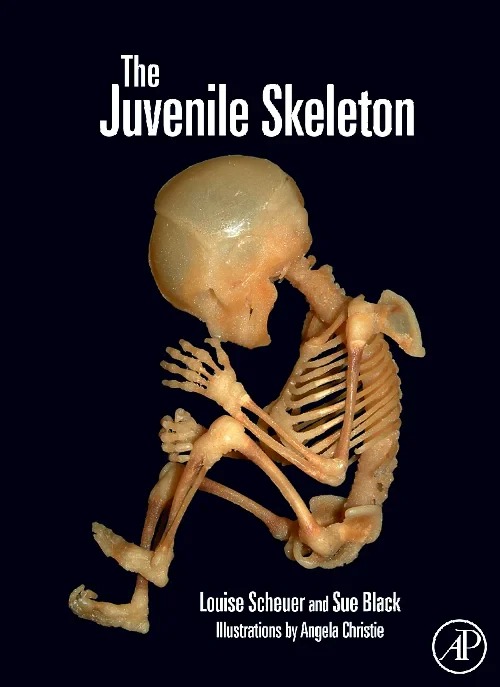 The Juvenile Skeleton
